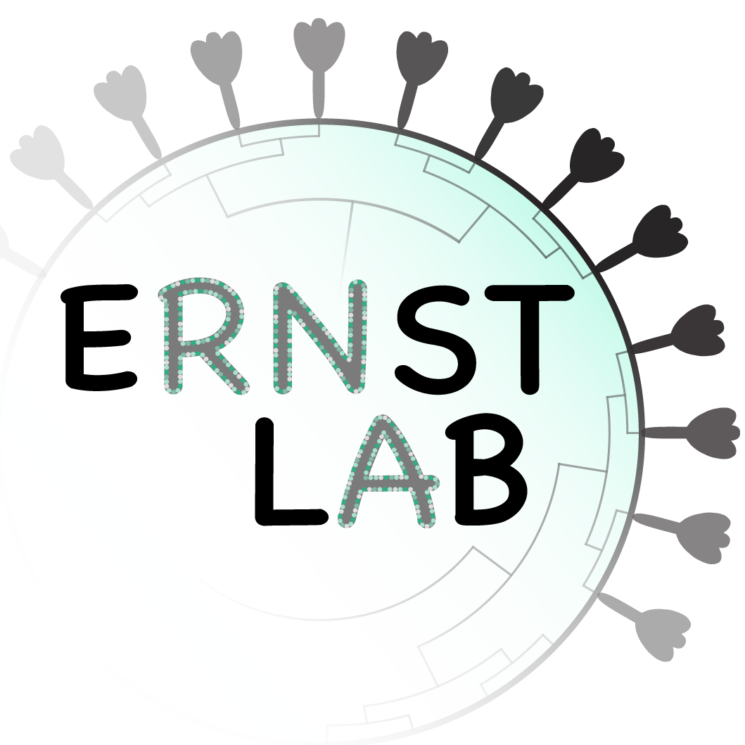 Ernst Laboratory